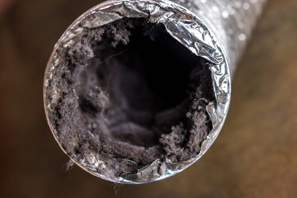 Best Air Duct Cleaning Near Me  in Los Gatos, CA